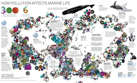 pin  pollution effects  marine life