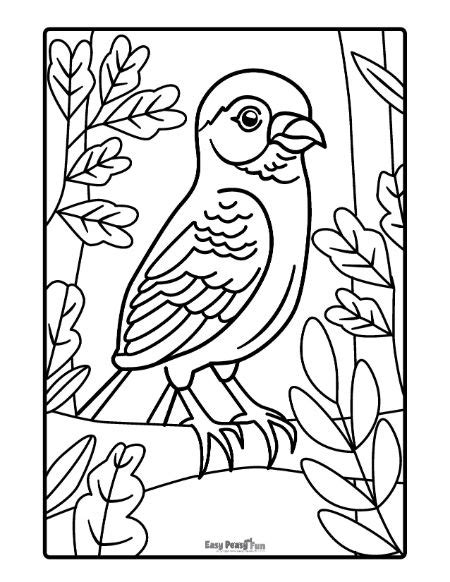 printable bird coloring pages easy peasy  fun