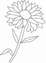 Flowering Bestcoloringpages sketch template