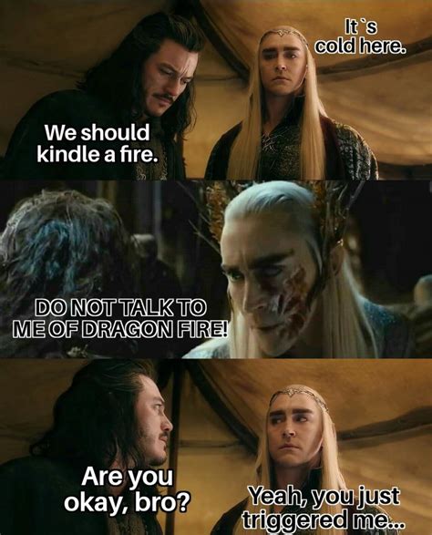 hobbit memes thranduil hobbit memes  hobbit thranduil funny