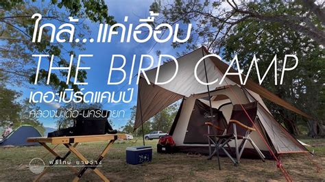bird camp youtube