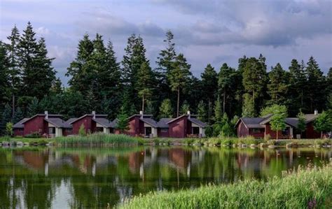 center parcs review  center parcs whinfell forest penrith united kingdom tripadvisor