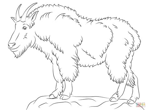 mountain goat coloring pages