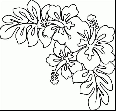 printable coloring pages  hawaiian flowers stanleyfcs