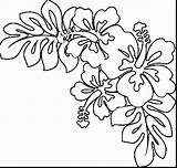 Hawaiian Flower Hawaii Flowers Drawing Coloring Pages Getdrawings sketch template