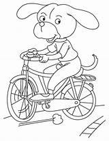 Perro Bicicleta Montando Dibujosonline Pintar sketch template