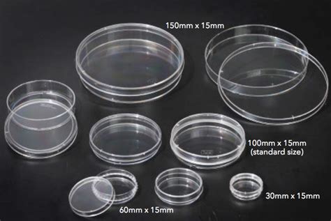 petri dishes plastic mm  mm sleeve