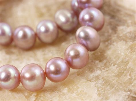 pink pearls stock image image  pendant chain adornment
