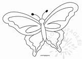 Butterfly Template Printable Outline Drawing Spring Coloring Body Templates Butterflies Colouring Pages Getdrawings Clipart Paintingvalley sketch template