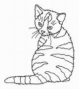 Coloring Cat Pages Color Chat Coloriage Drawing Embroidery Print Ausmalbild Patterns Adult Colors Un Colouring Katze Malvorlage Window Dog Sharpie sketch template