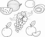 Frutta Fruta Coloritura Frutas Colorare Watermelon Grapes Vectorial sketch template