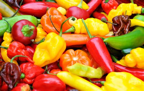 types of peppers explained heat levels of different chili peppers