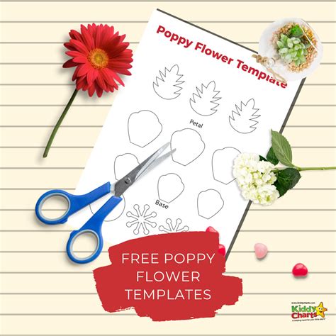 paper poppy    printable template kiddycharts