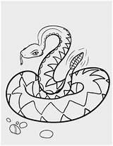 Coloring Snake Drawing Pages Coiled Snakes Rattlesnake Rattle Printable Printables Color Print Pdf Animal Kids Clipart Paintingvalley Animals Drawings Getdrawings sketch template