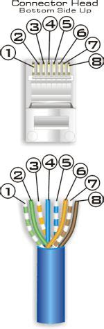 cat wiring diagram