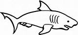 Shark Drawing Simple Coloring Blue Color Drawings Kids Clipart Easy Cool Basic Sharks Draw Clipartbest Cute Play Cliparts Animal Clipartmag sketch template