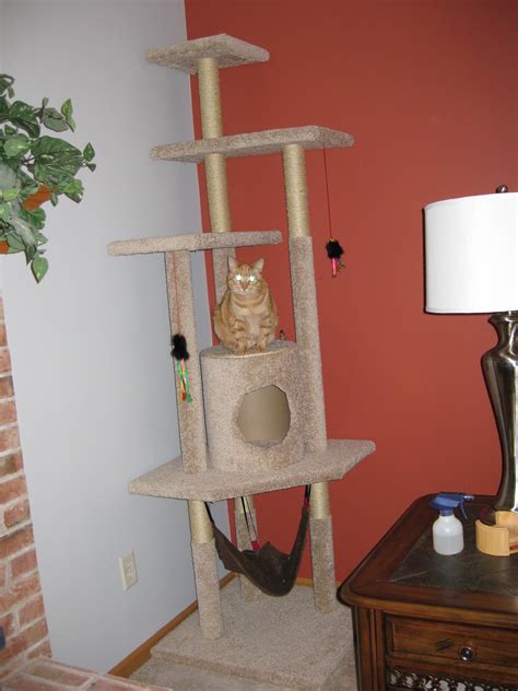 pickle perfect   build  cat tree