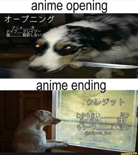 anime opening anime memes funny anime pics anime memes funny