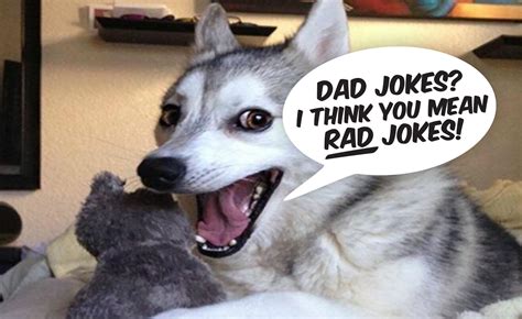 20 of the best or worst funny and clean dad jokes for father s day