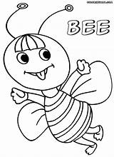 Bee Coloring Pages sketch template