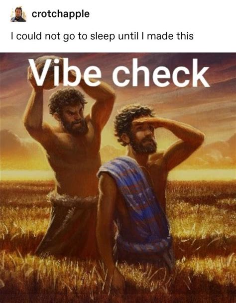 vibe check memes   checking  vibes funny gallery ebaums