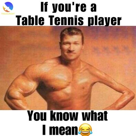 best table tennis jokes and funny memes pingsunday