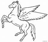 Coloring Pegasus Pages Realistic Template sketch template