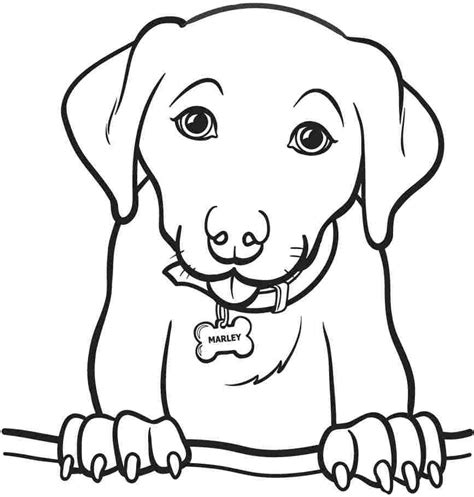 animal coloring pages printable  coloring home