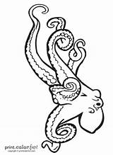 Octopus Coloring Tentacles Larger sketch template