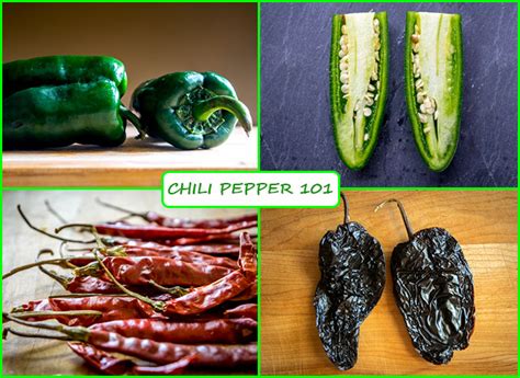 Chili Pepper 101 Mexican Please