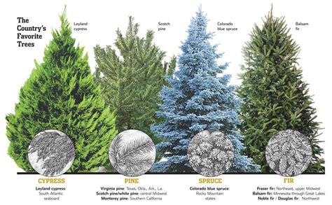 types  artificial christmas trees images