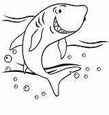 Coloring Pages Shark Sharks Kids Print Clipart Printable Library sketch template