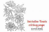 Coloring Pages Decorative Flowers Thehungryjpeg Cart sketch template