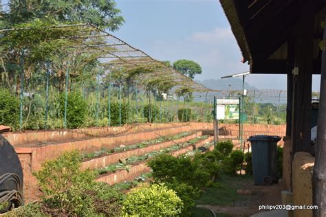 images  sri lanka  blogspotcom   agricultural department research center gannoruwa