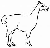 Llama Coloring Pages Dam Outline Cute Animal Kids Printable Mammals Animals Getdrawings Getcolorings Colorings Printmania Online Clipart sketch template