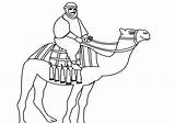 Camel Unta Dromadaire Camels Riding Mewarnai Pasir Kamel Diwarnai Caravan Menunggang Coloriages Crossing Realisticcoloringpages sketch template