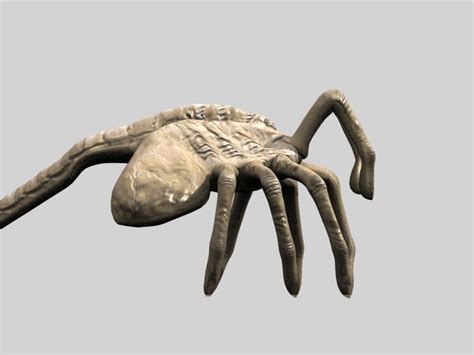 rigged alien xenomorph facehugger and egg 3d model animated rigged max