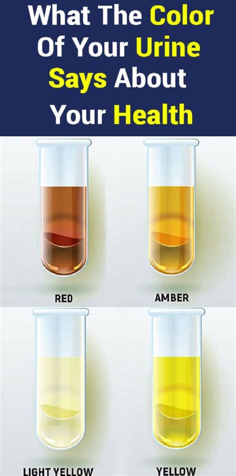 color   urine    health herbalism health remedies home remedies
