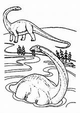 Coloring Pages Swimming Pool Dinosaur Brachiosaurus Elasmosaurus Printable Adults Drawing Getcolorings Color Colorin Getdrawings Dinosaurs sketch template