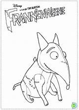 Coloring Burton Tim Frankenweenie Pages Dinokids Template Characters sketch template