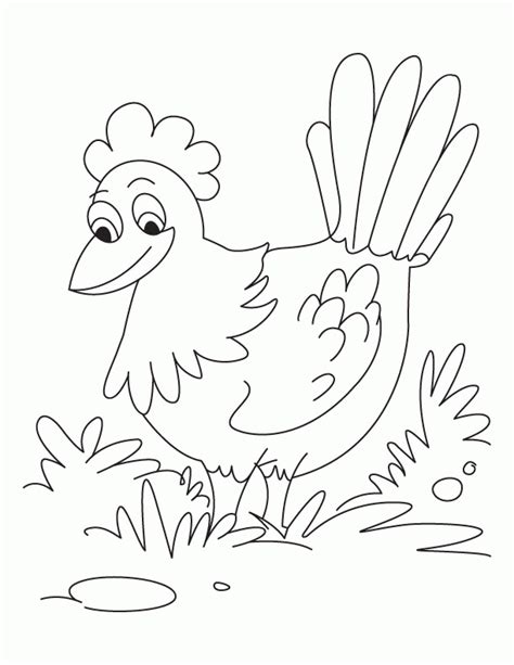 red hen coloring pages coloring home