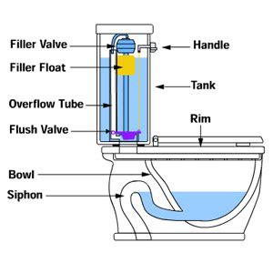 parts   flush toilet
