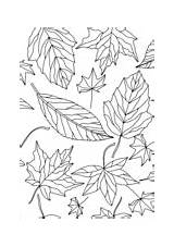 Leaves Pattern Coloring Autumn sketch template