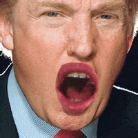 trump  poop coming    mouth gifs find share  giphy