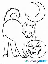 Halloween Coloring Pages Cat Kids Cats Drawing Print Kitty Templates Printable Color Getdrawings Activity Popular Activities sketch template