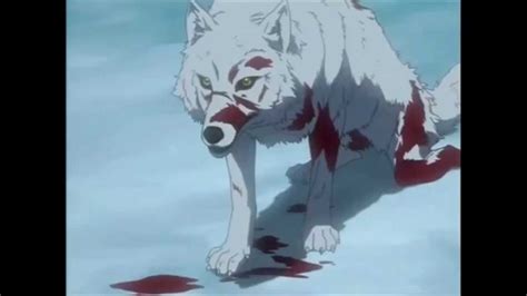 anime wolf sad youtube