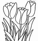 Bunga Mewarnai Tulip Matahari Mewarna Printemps Coloriage Tulipes Sketsa Marimewarnai Lukisan Bermacam Coloriages Muat Boleh Turun Cepat Koleksi Imej Dinding sketch template