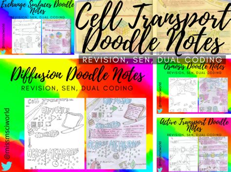 cell transport science doodle notes teaching resources