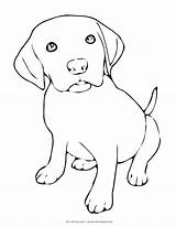 Coloring Puppy Pages Labrador Dog Retriever Puppies Dogs Drawings Sad Beagle Cartoon Line Colouring Drawing Color Hope Found Lab Cute sketch template
