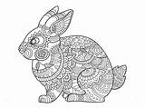 Hase Zentangle Kleurende Boek Hasen Rabbits Ausmalen Ioioio Dentistmitcham sketch template